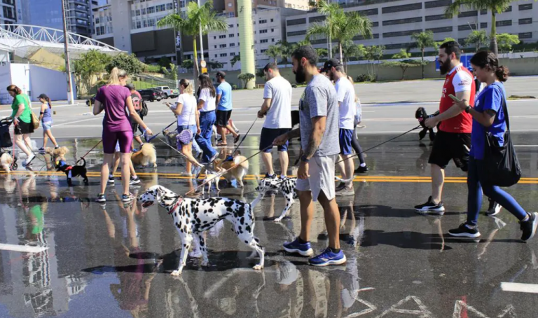 Cãominhada Barueri